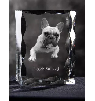 Französische Bulldogge - Kristall mit einem Hundebild, Glasstatuette mit einem Bild, einzigartiger Bilderrahmen der Marke Art-Dog