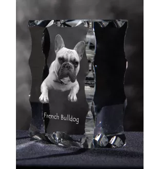 Französische Bulldogge - Kristall mit einem Hundebild, Glasstatuette mit einem Bild, einzigartiger Bilderrahmen der Marke Art-Dog
