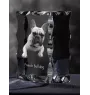 French Bulldog, Frenchie - crystal with a picture of a dog, glass statuette with a picture, unique frame with a picture from Art-Dog brand