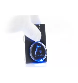 Französische Bulldogge - Anhänger mit einem Foto eines Hundes, Schlüsselanhänger aus Kristall in einer Geschenkbox, ein einzigartiges Geschenk von Art-Dog