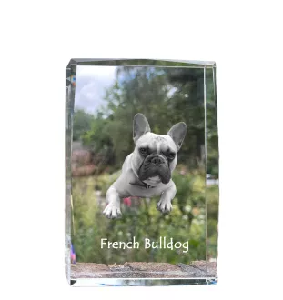 Französische Bulldogge - Kristall mit einem Hundebild, Bild im Glas, moderne Ausstellung des Art-Dog-Bildes.