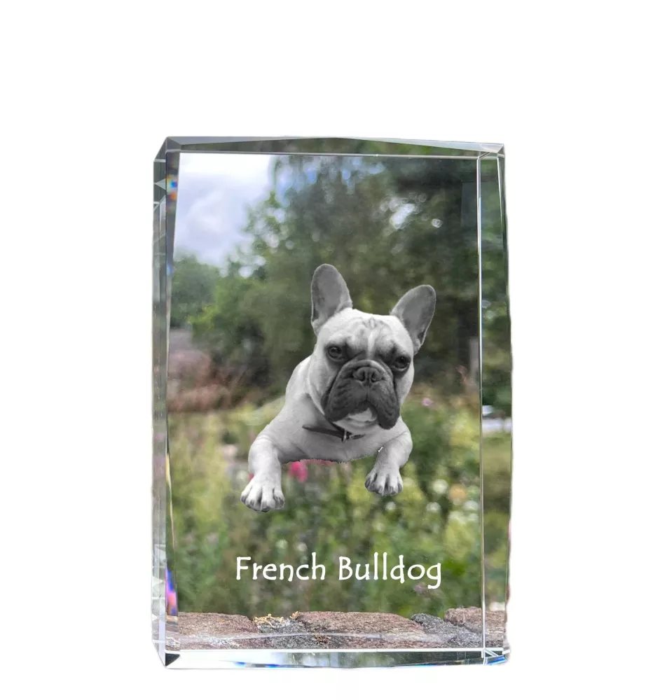 Französische Bulldogge - Kristall mit einem Hundebild, Bild im Glas, moderne Ausstellung des Art-Dog-Bildes.