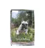 Französische Bulldogge - Kristall mit einem Hundebild, Bild im Glas, moderne Ausstellung des Art-Dog-Bildes.