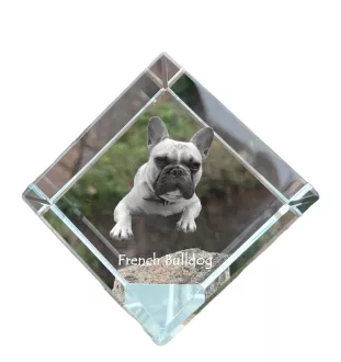 Französische Bulldogge - Kristallwürfel mit Bild, Pferdebild im Kristall, sechseckiger Papierclip der Marke Art-Dog