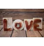 Französische Bulldogge I - Holzschriftzug LOVE, Innendekoration mit Hund, entzückende Dekoration für das Regal der Marke Art-Dog