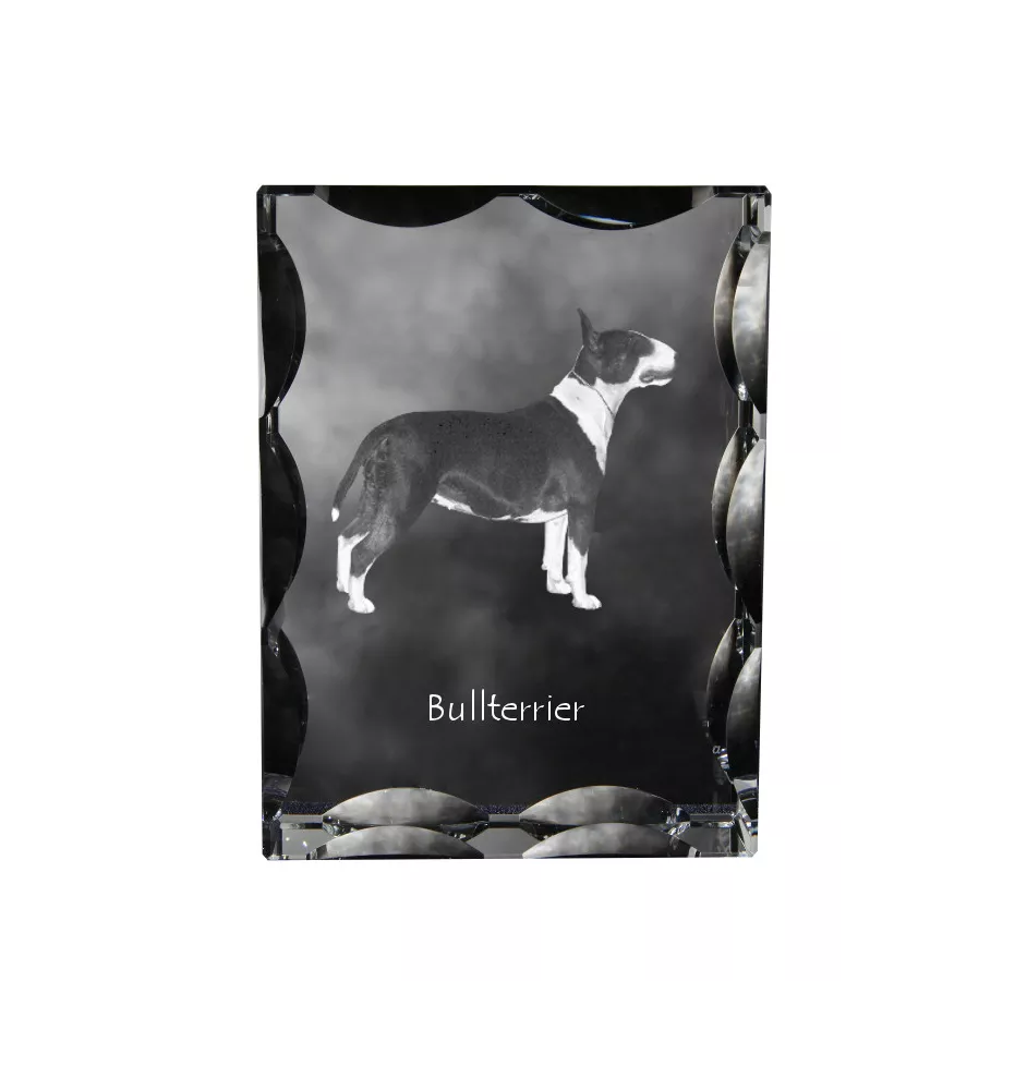 Bull Terrier, Bully - crystal with a picture of a dog, glass statuette with a picture, unique frame with a picture from Art-Dog brand