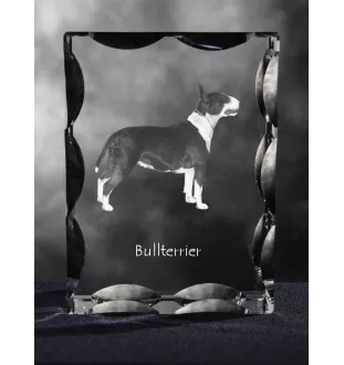 Bull Terrier, Bullterrier - Kristall mit einem Hundebild, Glasstatuette mit einem Bild, einzigartiger Bilderrahmen der Marke Art-Dog