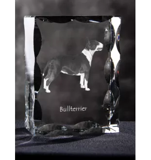 Bull Terrier, Bully - crystal with a picture of a dog, glass statuette with a picture, unique frame with a picture from Art-Dog brand