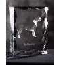 Bull Terrier, Bully - crystal with a picture of a dog, glass statuette with a picture, unique frame with a picture from Art-Dog brand