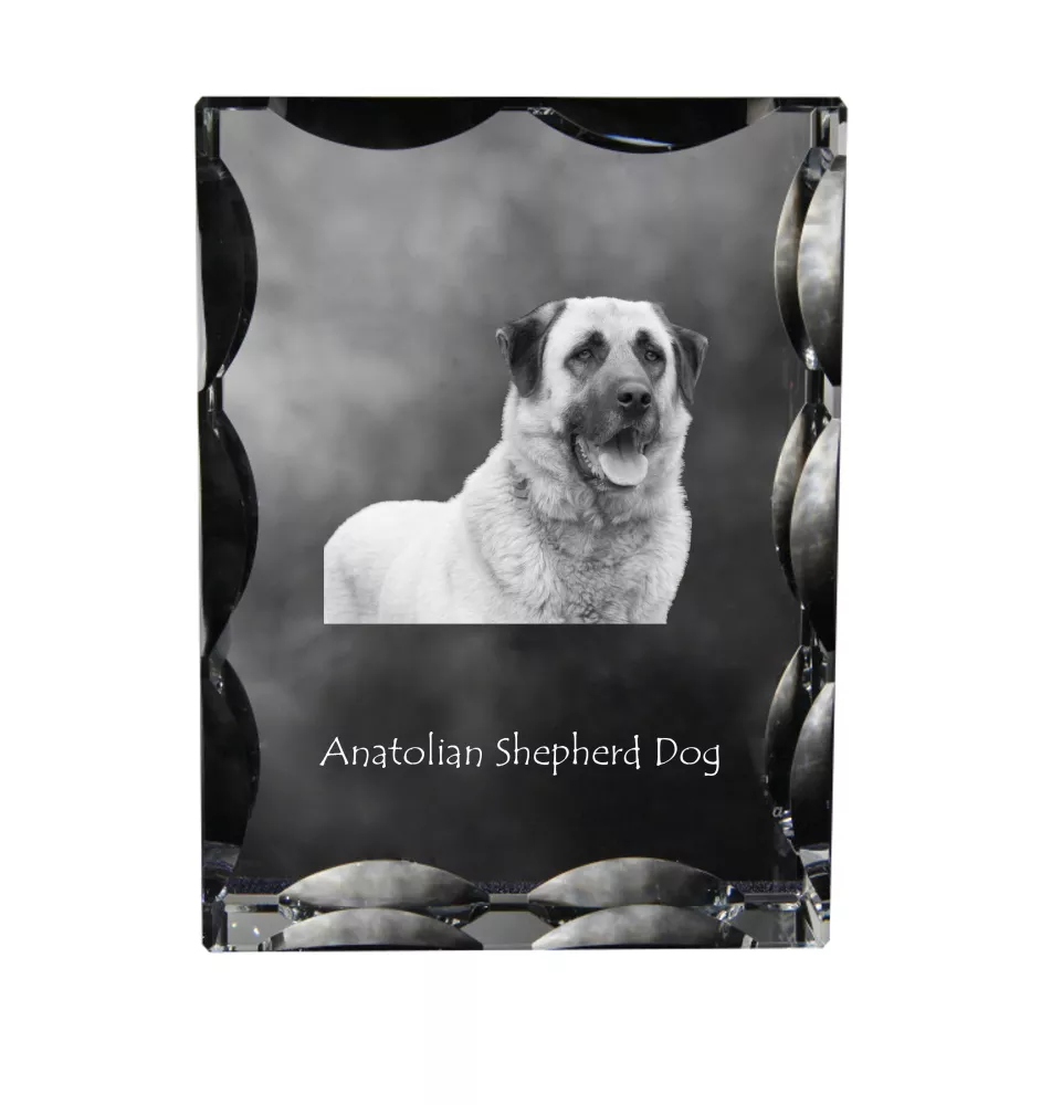 Anatolischer Hirtenhund - Kristall mit einem Hundebild, Glasstatuette mit einem Bild, einzigartiger Bilderrahmen der Marke Art-Dog