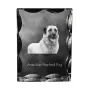 Berger d'Anatolie, Chien de Berger Kangal - cristal avec photo de chien, statuette en verre avec photo, cadre exceptionnel avec photo de la marque Art-Dog