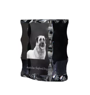 Berger d'Anatolie, Chien de Berger Kangal - cristal avec photo de chien, statuette en verre avec photo, cadre exceptionnel avec photo de la marque Art-Dog