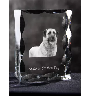 Berger d'Anatolie, Chien de Berger Kangal - cristal avec photo de chien, statuette en verre avec photo, cadre exceptionnel avec photo de la marque Art-Dog