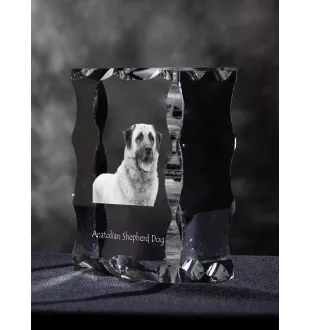 Berger d'Anatolie, Chien de Berger Kangal - cristal avec photo de chien, statuette en verre avec photo, cadre exceptionnel avec photo de la marque Art-Dog