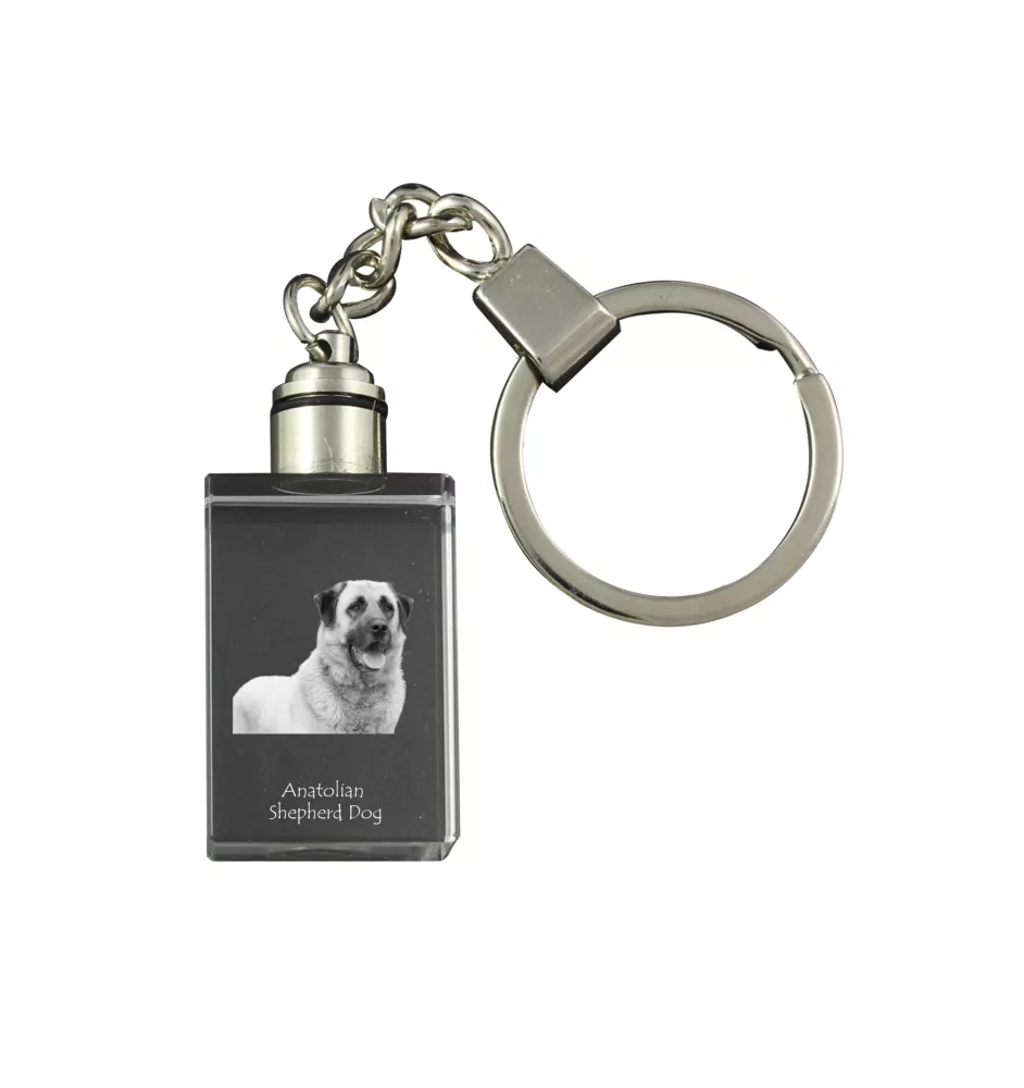 Anatolischer Hirtenhund - Schlüsselanhänger aus Kristall mit Hundefoto, beleuchteter Schlüsselanhänger, einzigartiges Geschenk der Marke Art-Dog