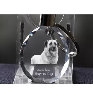 Berger d'Anatolie, Chien de Berger Kangal - pendentif avec une photo de chien, porte-clés en cristal dans une boîte cadeau, un cadeau unique par Art-Dog