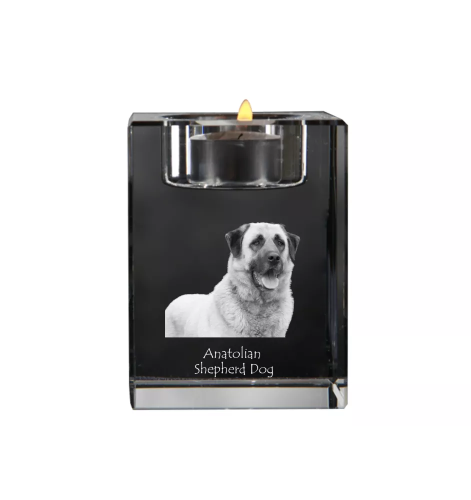 Berger d'Anatolie, Chien de Berger Kangal - Bougeoir avec photo de chien, porte bougie en cristal, cadeau personnalisé par la marque Art-Dog