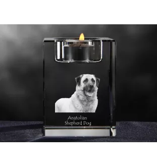 Anatolian Shepherd Dog, Turkish Kangal Dog - Candle holder with dog photo, crystal tealight holder, personalised gift by Art-Dog brand
