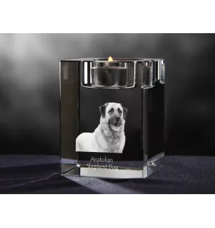 Berger d'Anatolie, Chien de Berger Kangal - Bougeoir avec photo de chien, porte bougie en cristal, cadeau personnalisé par la marque Art-Dog