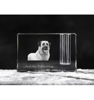 Anatolian Shepherd Dog, Turkish Kangal Dog - Pen stand, crystal organiser with dog photo, unique desk decoration by Art-Dog brand