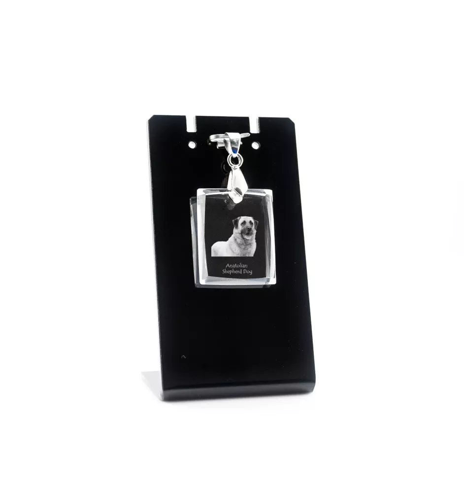 Anatolian Shepherd Dog, Turkish Kangal Dog - Crystal dog pendant, photo necklace, unique jewellery by Art-Dog