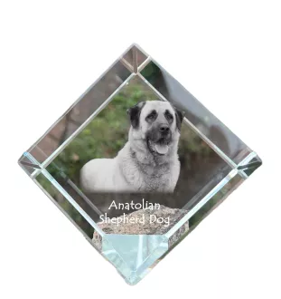 Anatolian Shepherd Dog, Turkish Kangal Dog - crystal cube with a photo, photo of a horse in crystal, cubic paperweight from Art-Dog brand
