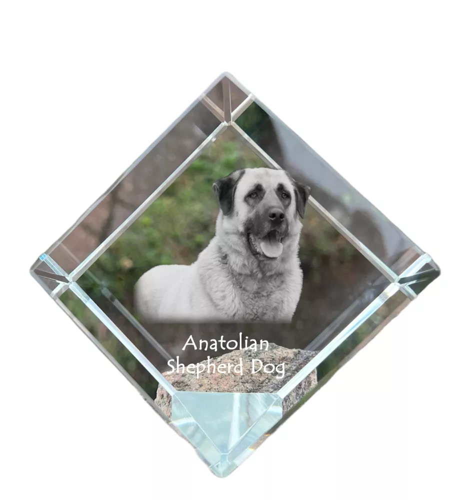 Anatolischer Hirtenhund - Kristallwürfel mit Bild, Pferdebild im Kristall, sechseckiger Papierclip der Marke Art-Dog
