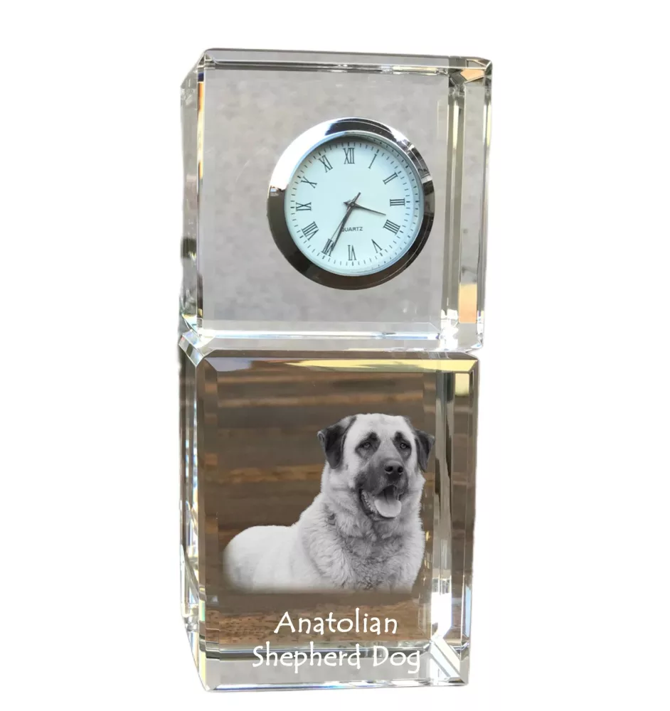 Anatolian Shepherd Dog, Turkish Kangal Dog - crystal clock with a photo, a photo of a dog in crystal, personalized desk clock by Art-Dog brand