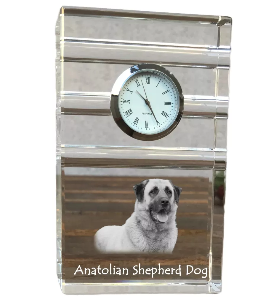 Anatolian Shepherd Dog, Turkish Kangal Dog - glass clock with a photo, photo of a dog in crystal, personalized standing office clock by Art-Dog brand