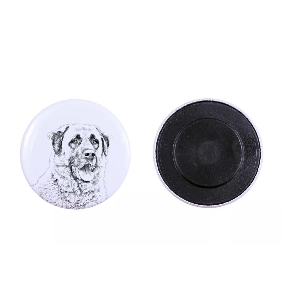 Berger d'Anatolie, Chien de Berger Kangal - aimant avec un œil de chien, exceptionnellement léger, aimant puissant, produit fabriqué à la main par la marque Art-Dog
