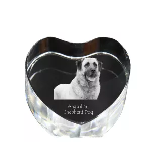 Berger d'Anatolie, Chien de Berger Kangal - une photo de chien dans un cristal, un cœur en cristal, un cadre photo exceptionnel de la marque Art-Dog