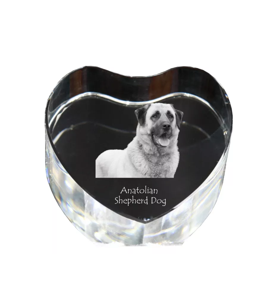 Anatolischer Hirtenhund - Hundebild im Kristall, Kristallherz, einzigartiger Bilderrahmen der Marke Art-Dog