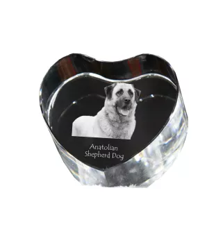 Berger d'Anatolie, Chien de Berger Kangal - une photo de chien dans un cristal, un cœur en cristal, un cadre photo exceptionnel de la marque Art-Dog