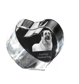 Anatolischer Hirtenhund - Hundebild im Kristall, Kristallherz, einzigartiger Bilderrahmen der Marke Art-Dog