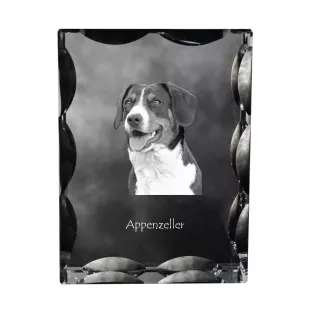 Appenzeller Sennenhund, Appenzellerhund - Kristall mit einem Hundebild, Glasstatuette mit einem Bild, einzigartiger Bilderrahmen der Marke Art-Dog