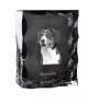 Appenzell Cattle Dog, Appenzeller Sennenhund - crystal with a picture of a dog, glass statuette with a picture, unique frame with a picture from Art-Dog brand