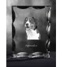 Appenzell Cattle Dog, Appenzeller Sennenhund - crystal with a picture of a dog, glass statuette with a picture, unique frame with a picture from Art-Dog brand