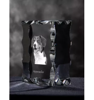 Appenzell Cattle Dog, Appenzeller Sennenhund - crystal with a picture of a dog, glass statuette with a picture, unique frame with a picture from Art-Dog brand