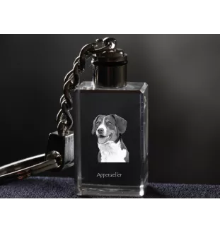 Appenzell Cattle Dog, Appenzeller Sennenhund - Crystal key ring with dog photo, illuminated key ring, unique gift by Art-Dog brand