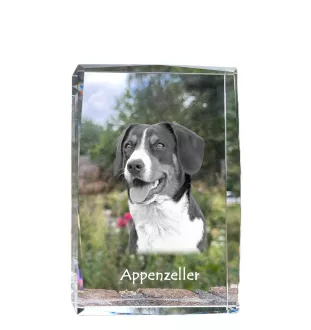 Appenzell Cattle Dog, Appenzeller Sennenhund - crystal with a picture of a dog, photo in glass, modern exhibition of Art-Dog brand photo