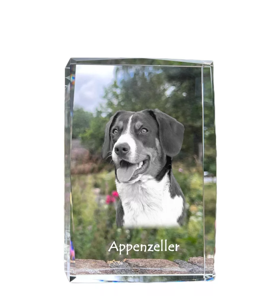 Bouvier Appenzellois, Bouvier de l'Appenzell - cristal avec une photo de chien, photo sous verre, exposition moderne de la marque de photos Art-Dog
