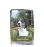 Appenzeller kryształ z psem Art-Dog