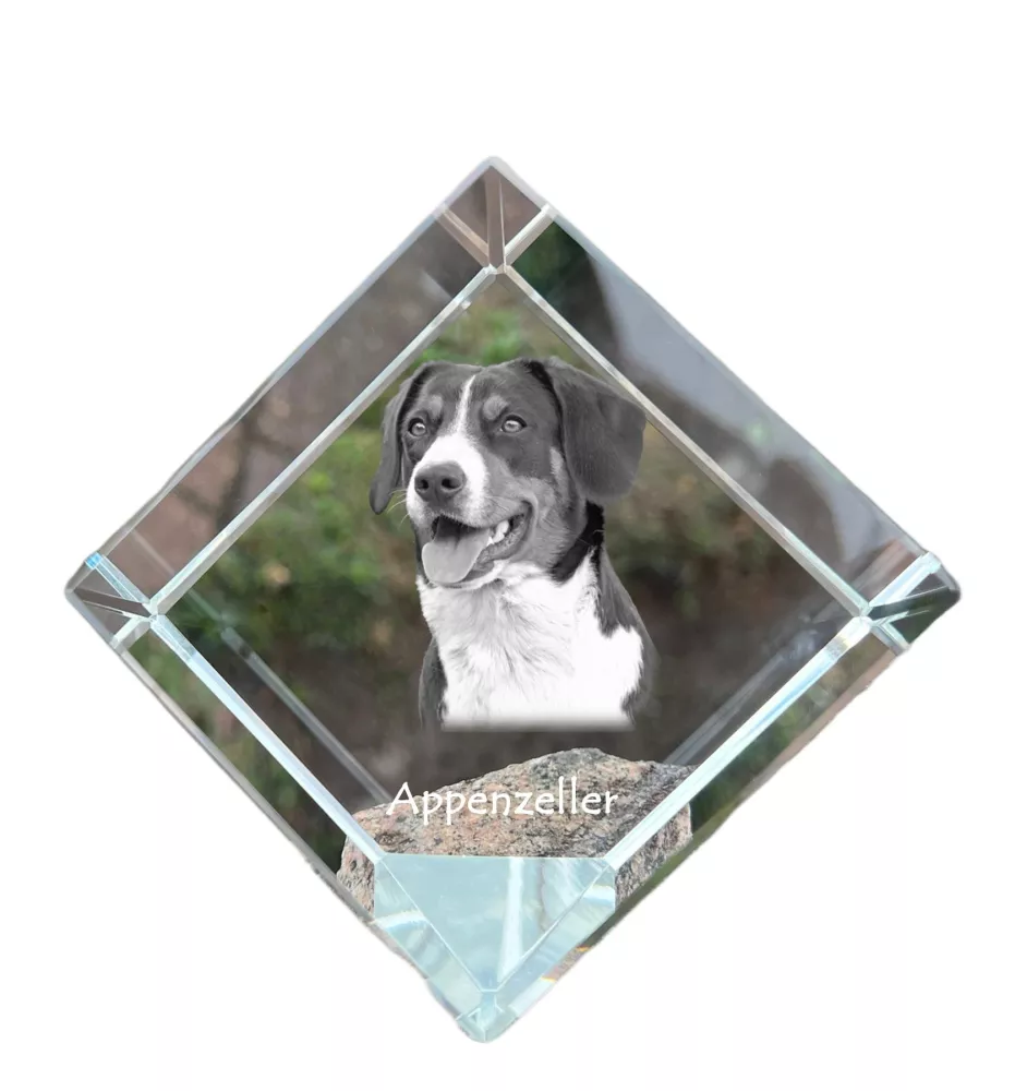 Appenzeller Sennenhund, Appenzellerhund - Kristallwürfel mit Bild, Pferdebild im Kristall, sechseckiger Papierclip der Marke Art-Dog