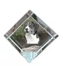 Appenzell Cattle Dog, Appenzeller Sennenhund - crystal cube with a photo, photo of a horse in crystal, cubic paperweight from Art-Dog brand