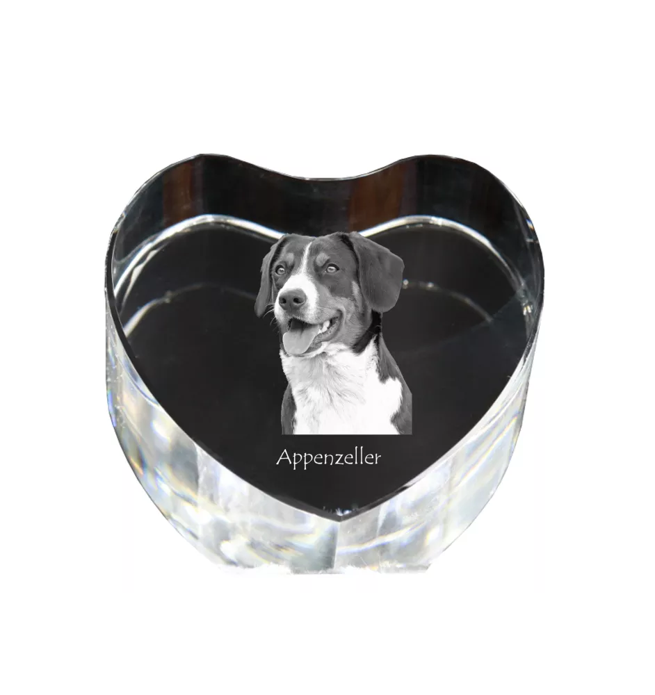Bouvier Appenzellois, Bouvier de l'Appenzell - une photo de chien dans un cristal, un cœur en cristal, un cadre photo exceptionnel de la marque Art-Dog
