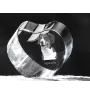 Bouvier Appenzellois, Bouvier de l'Appenzell - une photo de chien dans un cristal, un cœur en cristal, un cadre photo exceptionnel de la marque Art-Dog