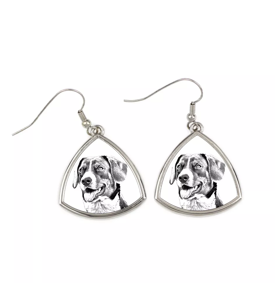 Appenzell Cattle Dog, Appenzeller Sennenhund - dog earrings, hanging earrings with a picture, personalized jewelry with Art-Dog brand print