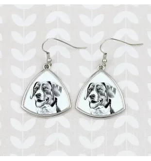 Appenzell Cattle Dog, Appenzeller Sennenhund - dog earrings, hanging earrings with a picture, personalized jewelry with Art-Dog brand print
