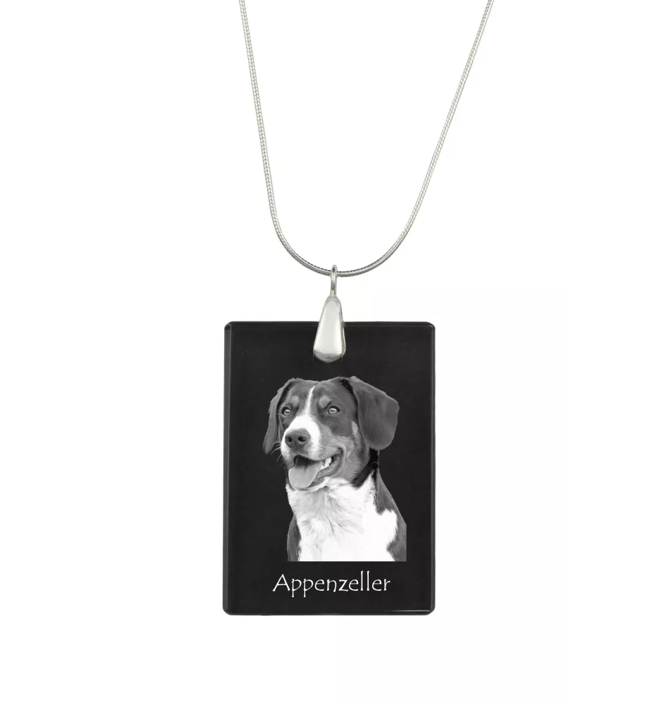 Bouvier Appenzellois, Bouvier de l'Appenzell - Pendentif en cristal avec chien, collier en argent avec photo, pendentif personnalisé par la marque Art-Dog