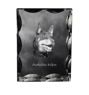 Australian Kelpie, Barb, Farmer Dog - crystal with a picture of a dog, glass statuette with a picture, unique frame with a picture from Art-Dog brand